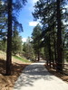 photo thumbnail #12