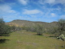 photo thumbnail #15