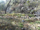 photo thumbnail #1
