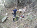 photo thumbnail #3