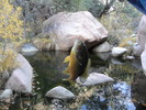 photo thumbnail #5