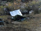 photo thumbnail #9