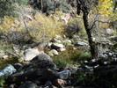 photo thumbnail #11