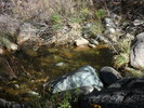photo thumbnail #12
