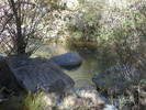 photo thumbnail #13
