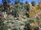 photo thumbnail #15