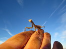 photo thumbnail #4
