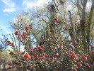 photo thumbnail #6