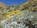 photo thumbnail #7