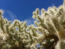 photo thumbnail #10