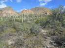 photo thumbnail #6