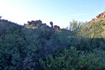 photo thumbnail #5