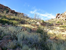 photo thumbnail #12