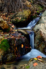 photo thumbnail #12