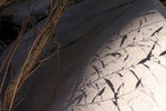 photo thumbnail #13