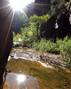 photo thumbnail #14