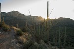 photo thumbnail #5