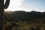 photo thumbnail #7