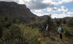 photo thumbnail #13