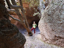 photo thumbnail #12