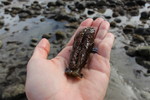photo thumbnail #10