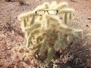 photo thumbnail #5