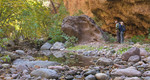 photo thumbnail #8