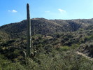 photo thumbnail #10