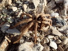photo thumbnail #11