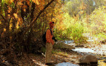 photo thumbnail #1
