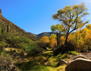photo thumbnail #6