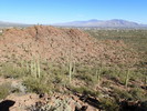photo thumbnail #3