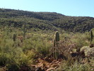 photo thumbnail #4