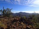 photo thumbnail #10
