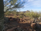 photo thumbnail #13