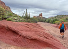 photo thumbnail #2