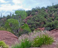 photo thumbnail #5