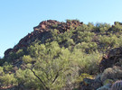 photo thumbnail #2