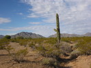photo thumbnail #14