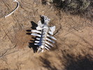 photo thumbnail #15