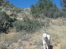photo thumbnail #3