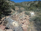 photo thumbnail #4