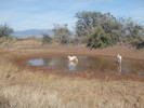 photo thumbnail #7