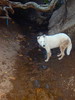 photo thumbnail #11