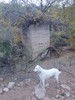 photo thumbnail #12