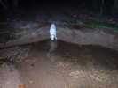 photo thumbnail #13