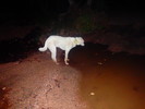 photo thumbnail #14