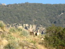 photo thumbnail #4