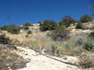 photo thumbnail #7