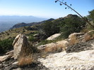 photo thumbnail #9